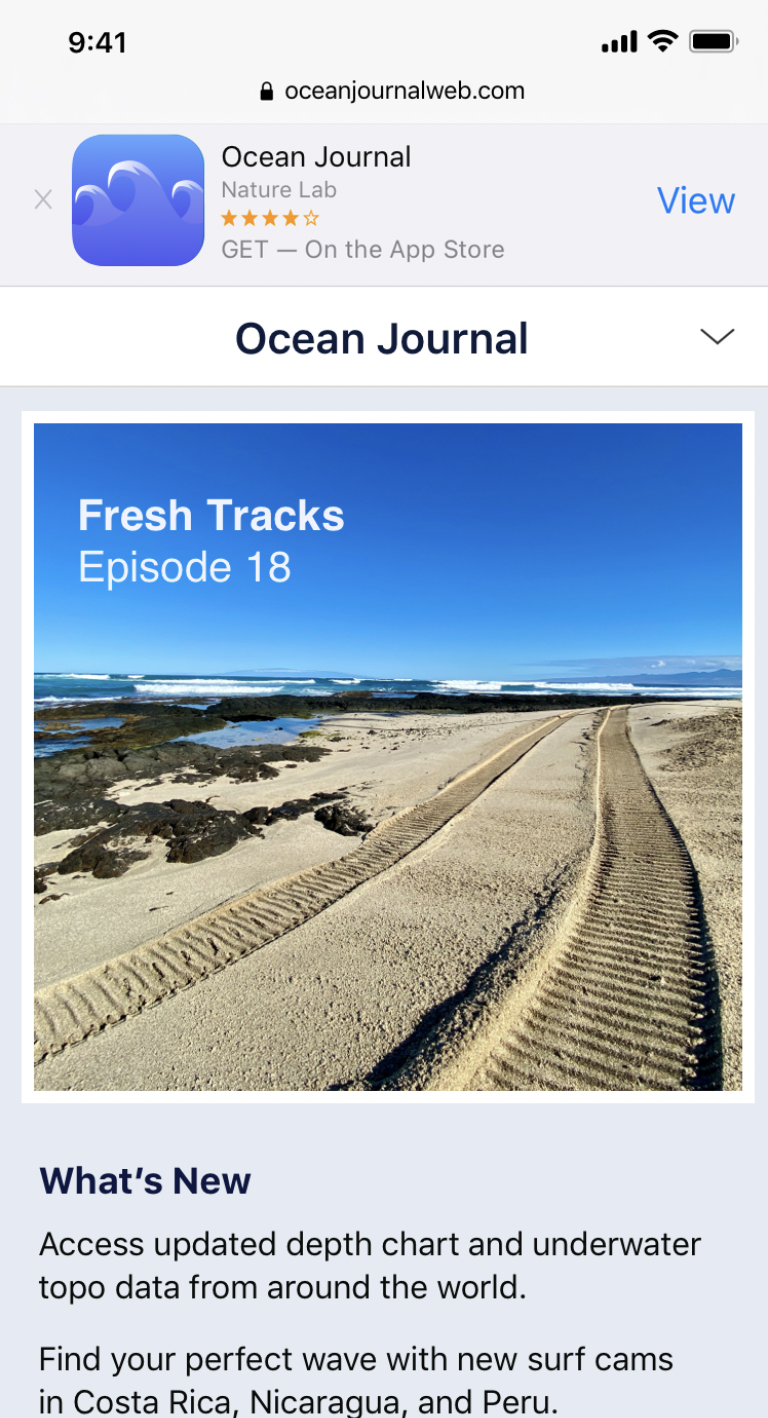 Promoting Your App with Smart App Banners (Guide for Apple and Android